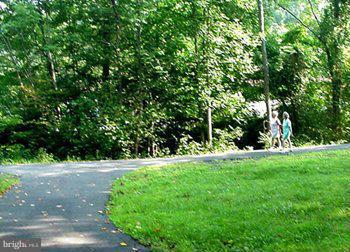 LAKE OF THE WOODS - Land