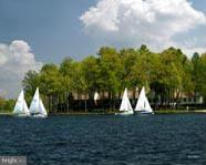 LAKE OF THE WOODS - Land