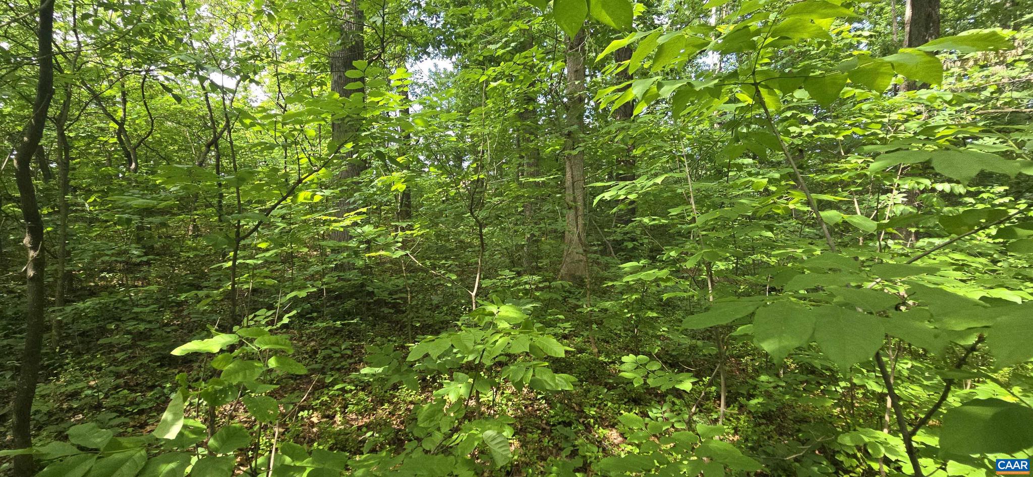 WOODLEY MEADOWS - Land