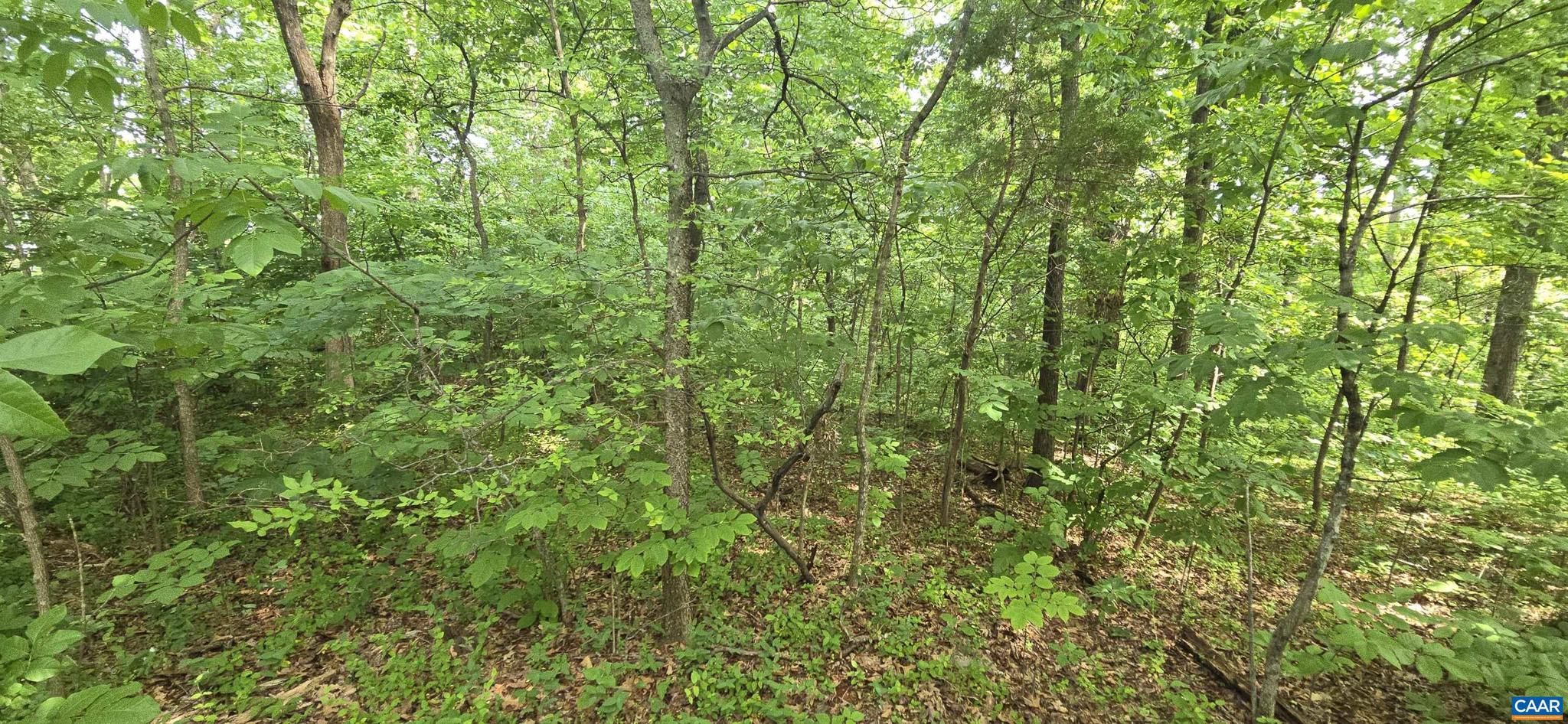 WOODLEY MEADOWS - Land