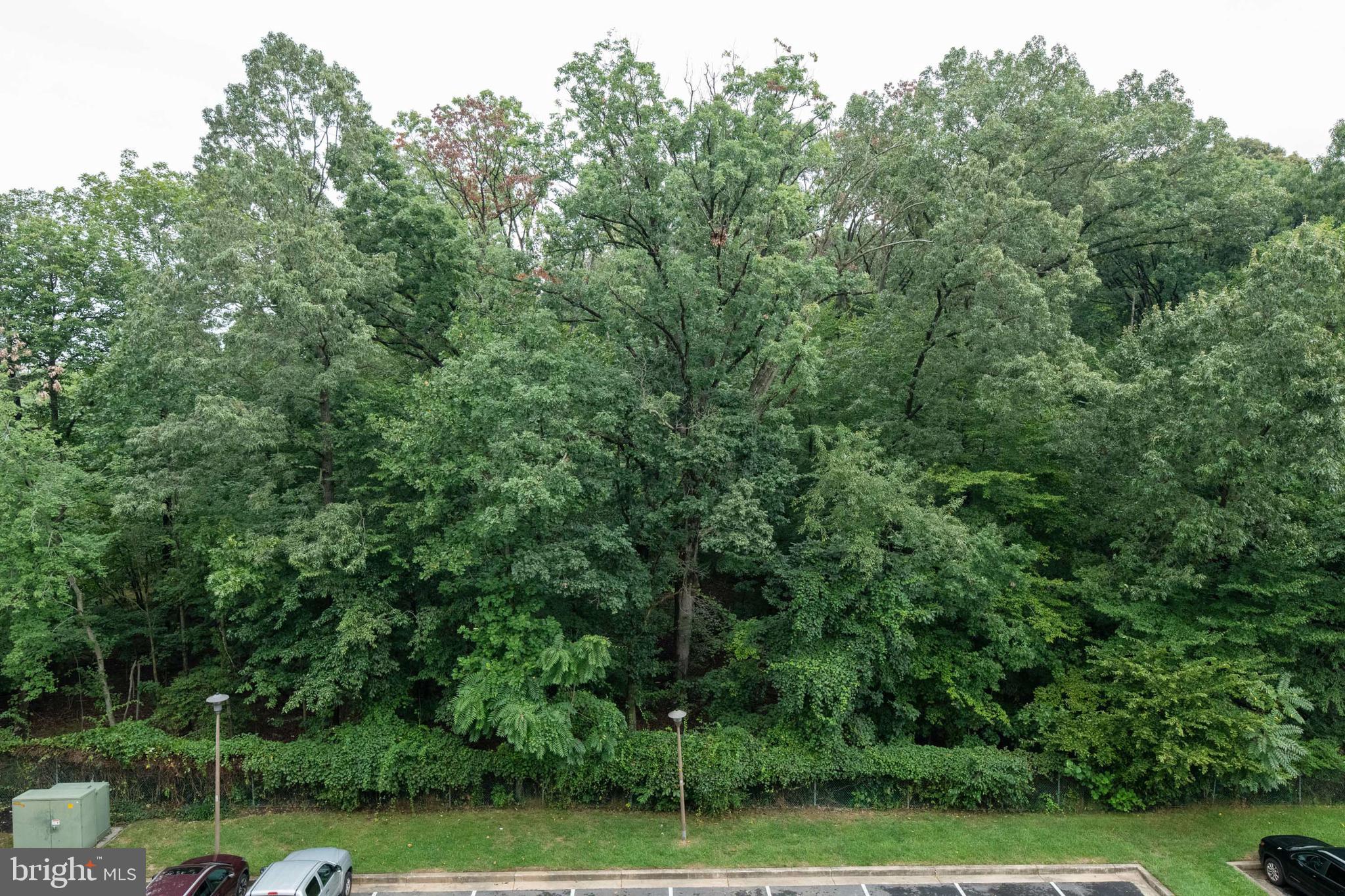 TOWSONGATE CONDOMINIUMS - Residential