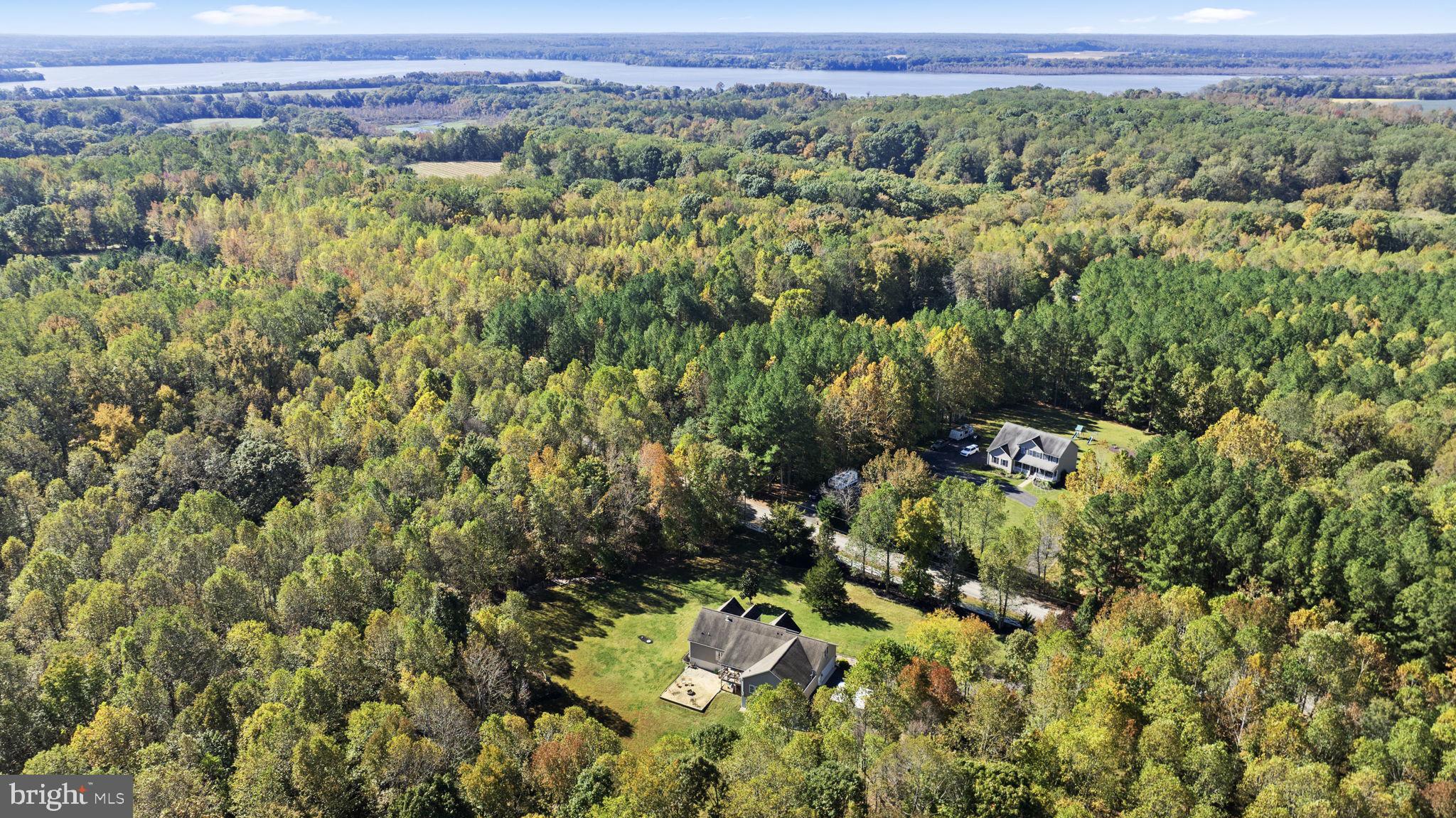 BALD EAGLE - Residential