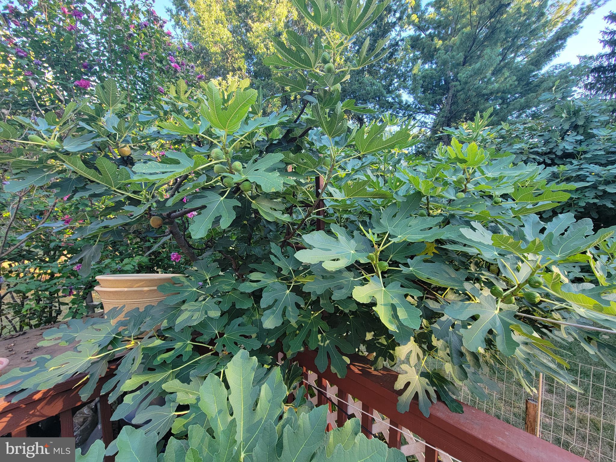 TASKERS CHANCE - Residential