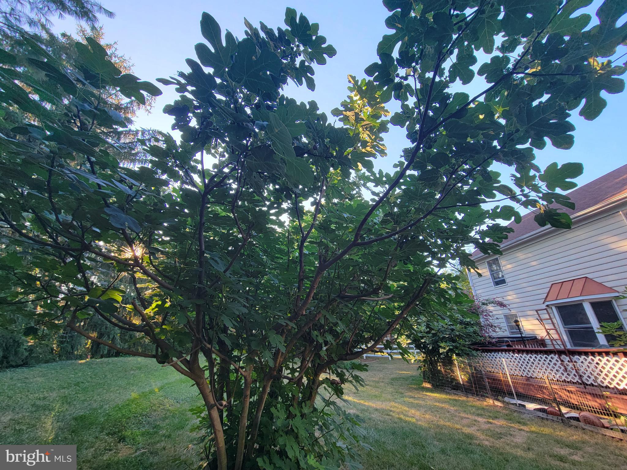 TASKERS CHANCE - Residential