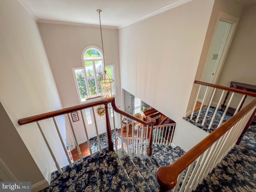 NORTHAMPTON ESTS - Residential