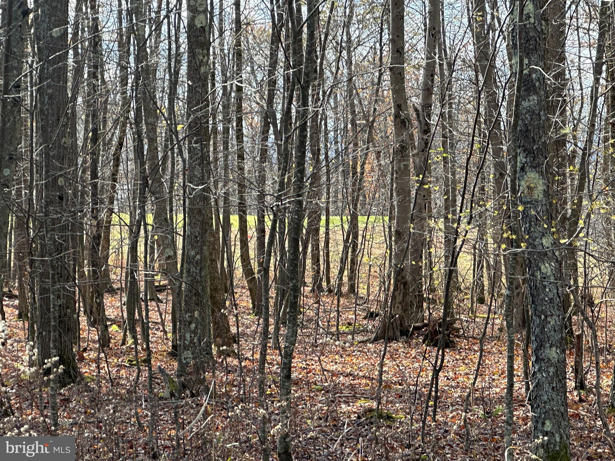 HIGHLINE - Land