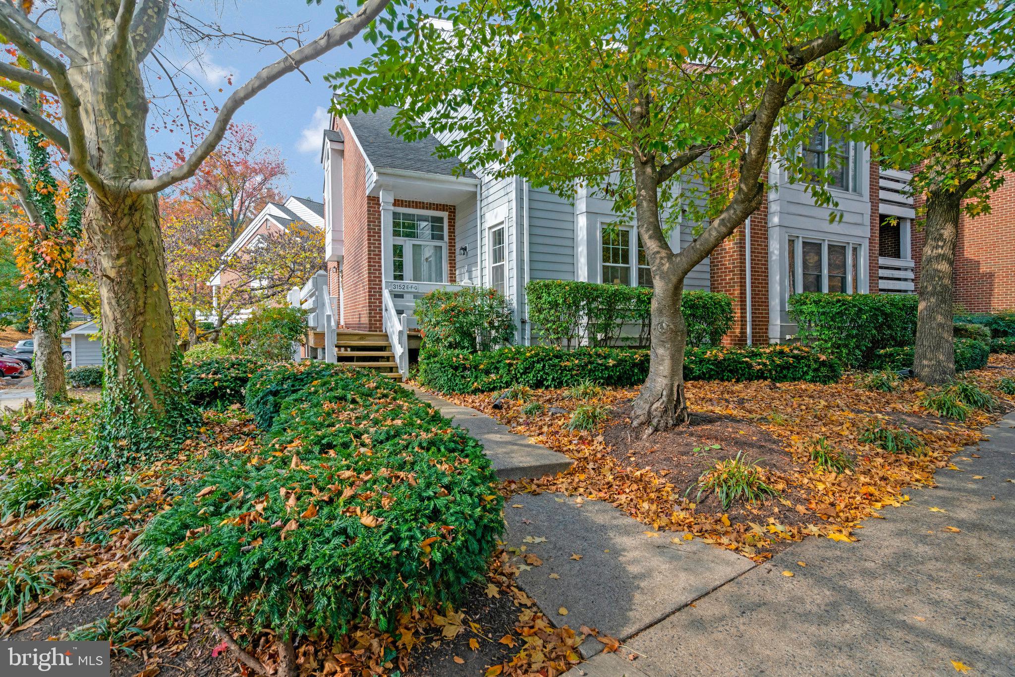 THE COVE - Residential