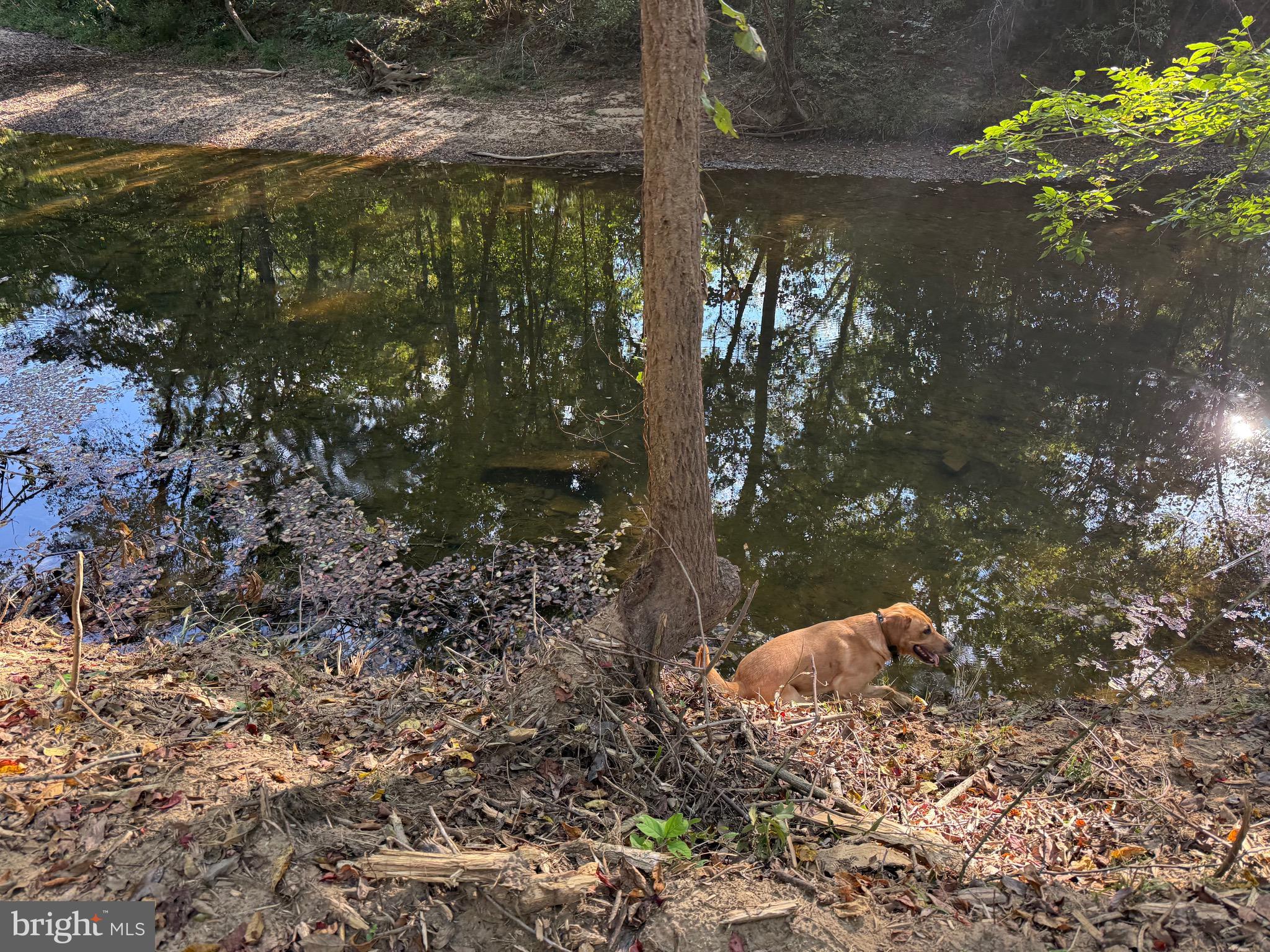 0 COLEMAN MOUNTAIN RD