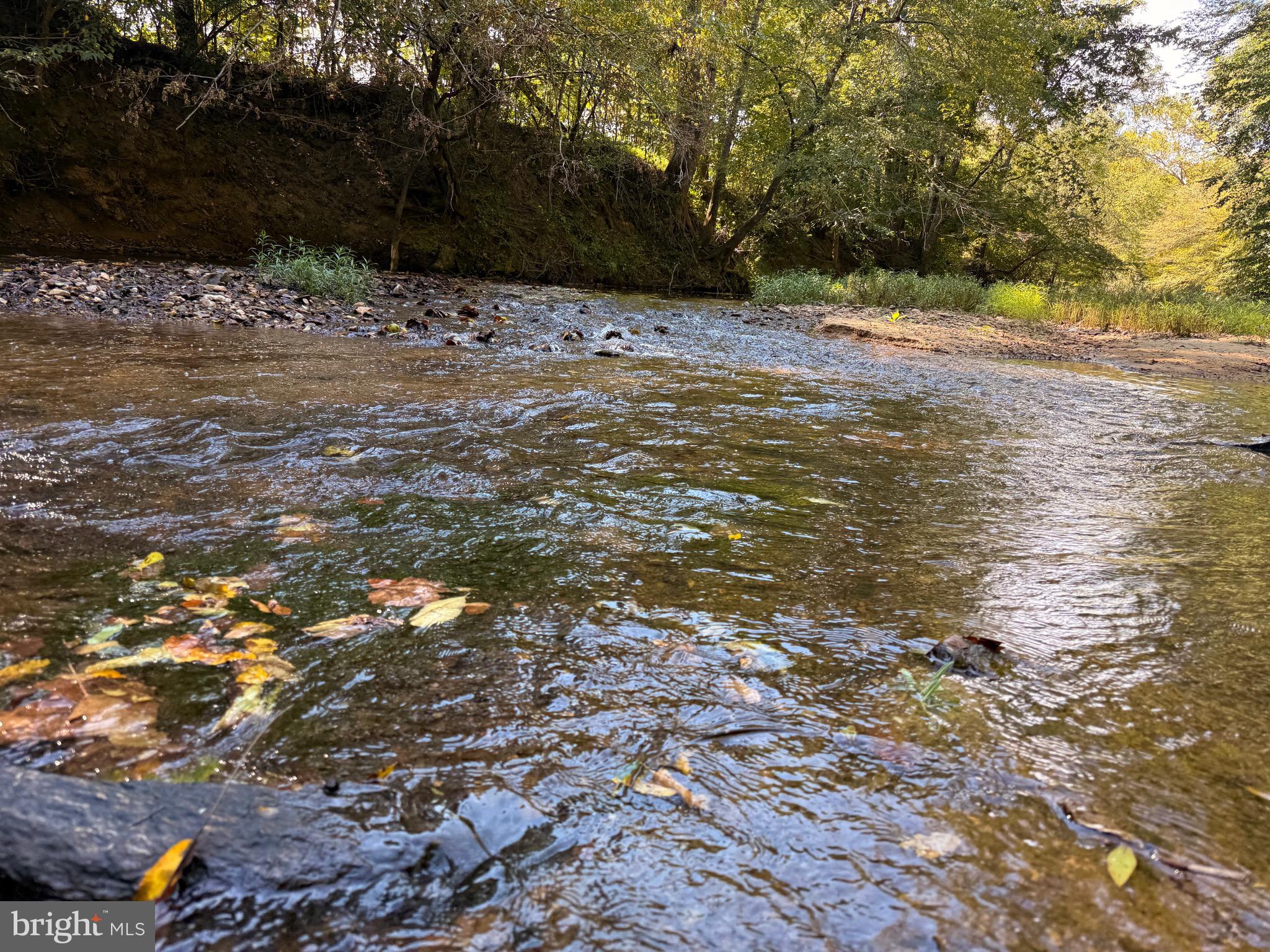 0 COLEMAN MOUNTAIN RD