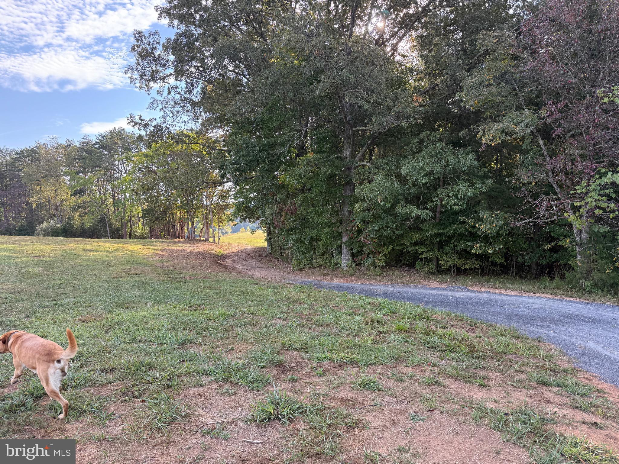 0 COLEMAN MOUNTAIN RD