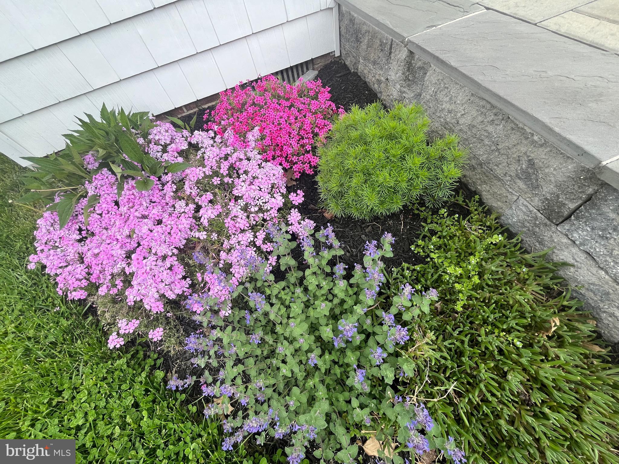 TOWN OF CENTREVILLE - Residential