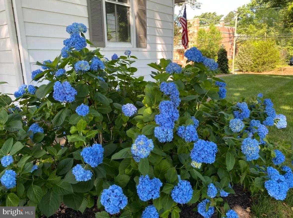 TOWN OF CENTREVILLE - Residential