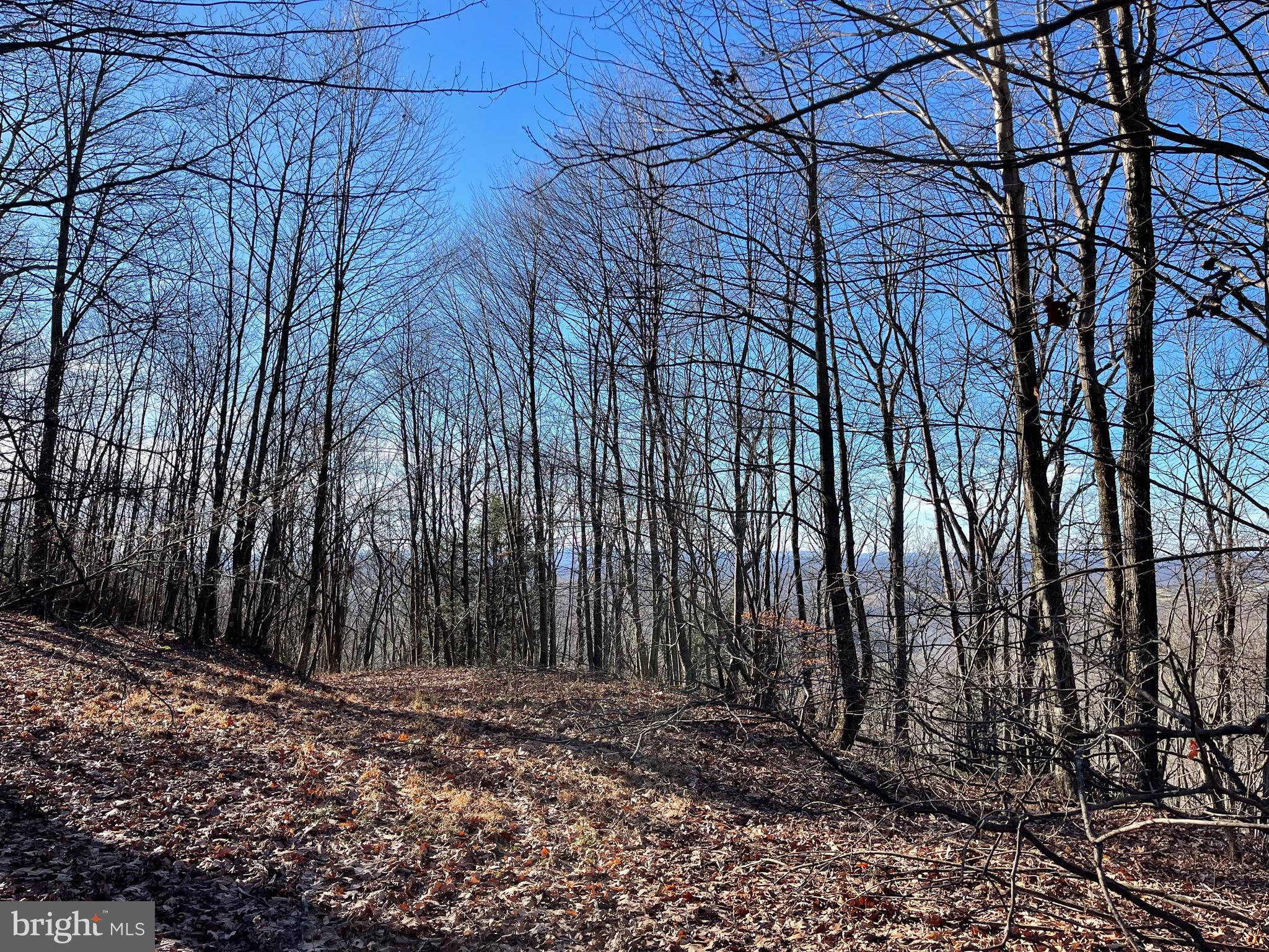 BACKBONE RIDGE - Land