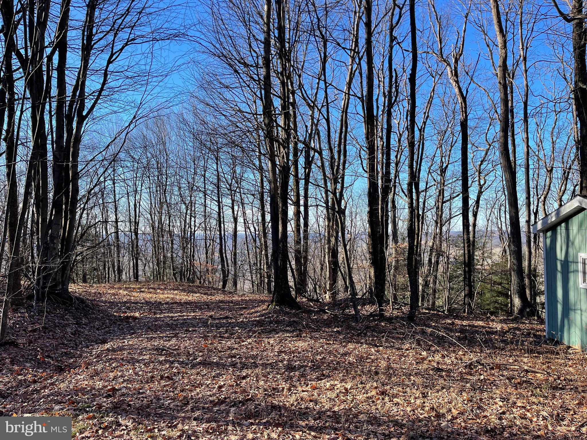 BACKBONE RIDGE - Land