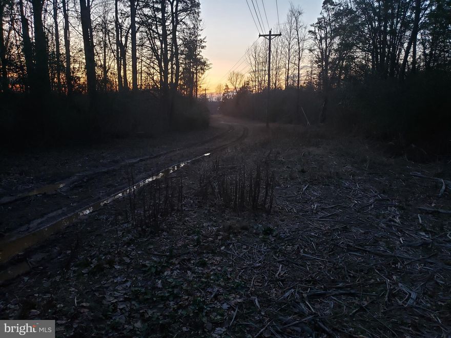 PRIVATE LOTS PERFECT FOR BUILDING ON!!! THE PROPERTY ALREADY HAS A WELL AND 2 SEPTIC TANKS!!!! CAN BE 3 SEPARATE LOTS!!!!!! GREAT FOR BUILDING A NEW HOME OR PLACING RENTAL PROPERTIES!!!