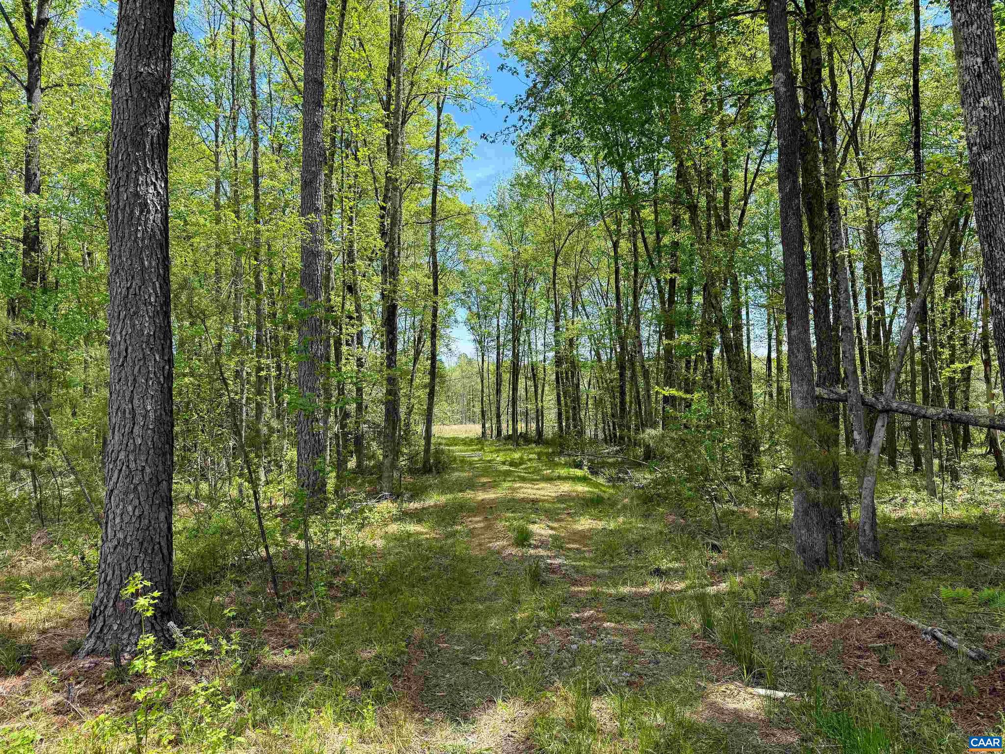 NONE AVAILABLE - Land