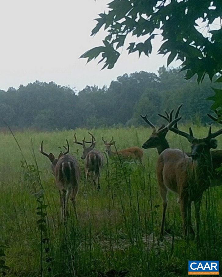 NONE AVAILABLE - Land