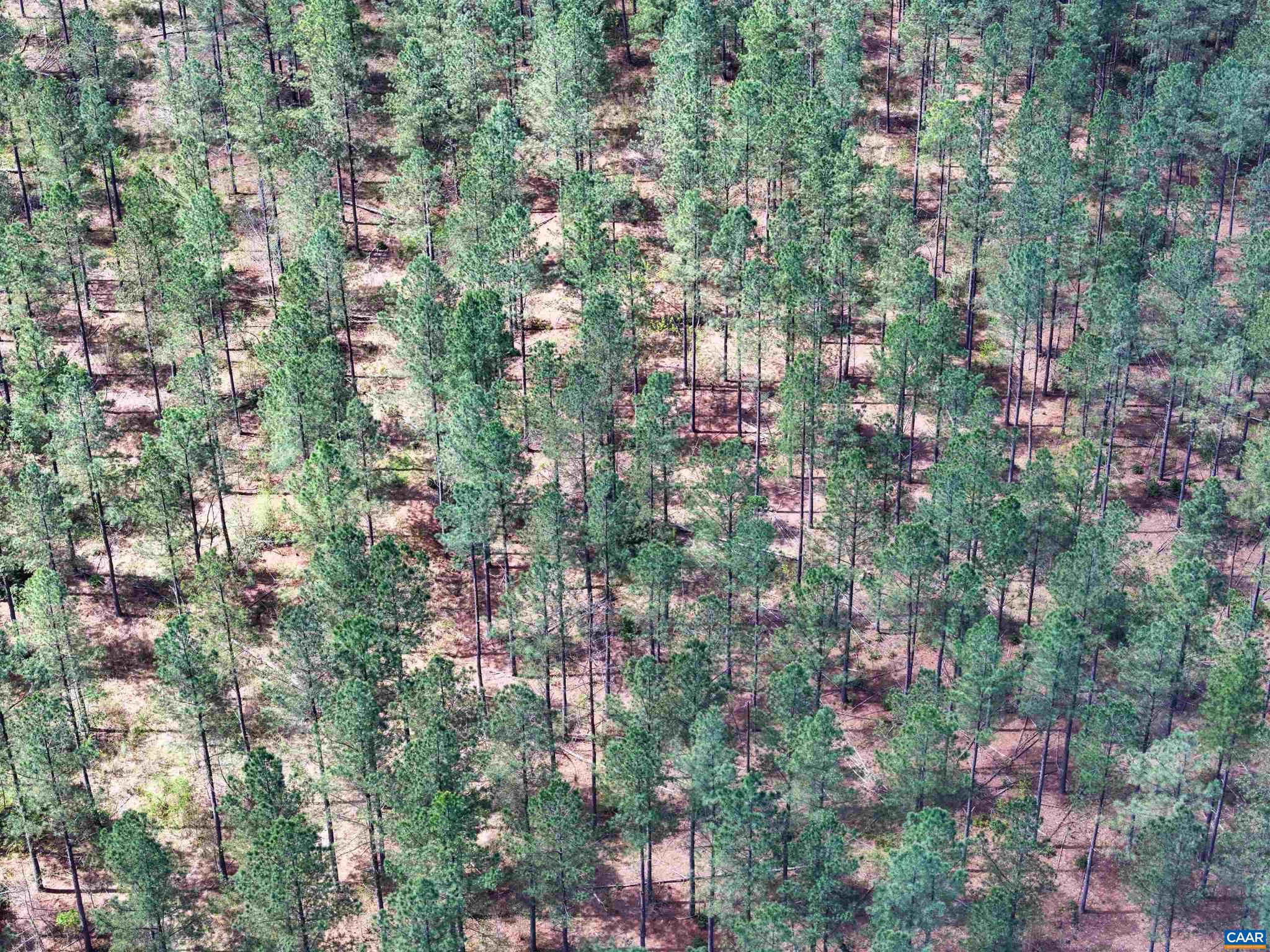 NONE AVAILABLE - Land