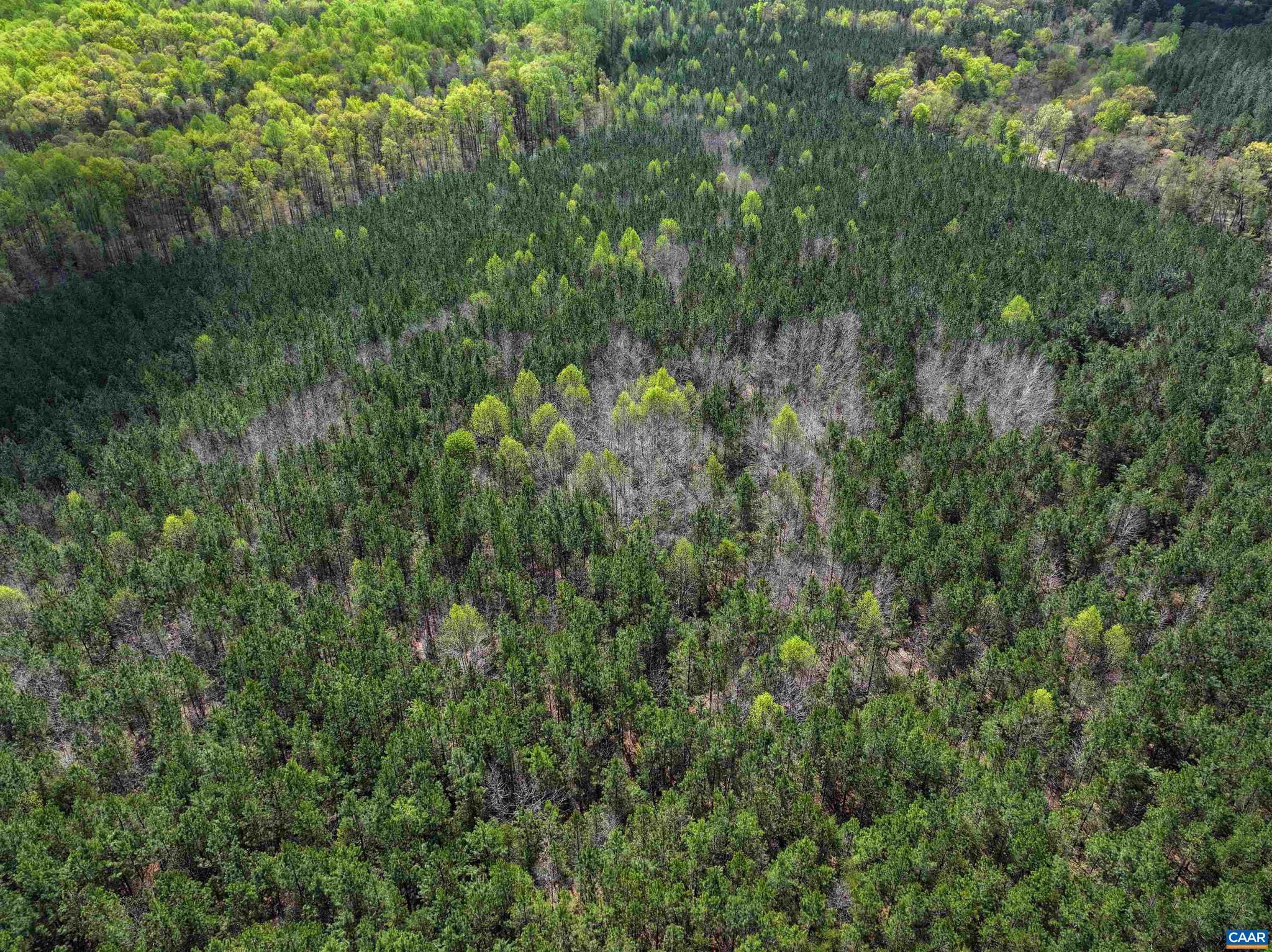 NONE AVAILABLE - Land