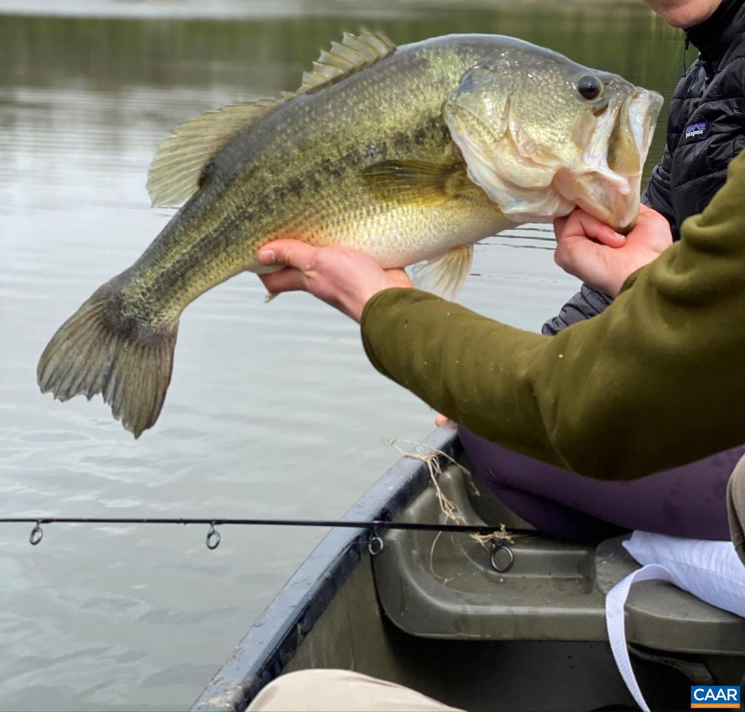 NONE AVAILABLE - Land