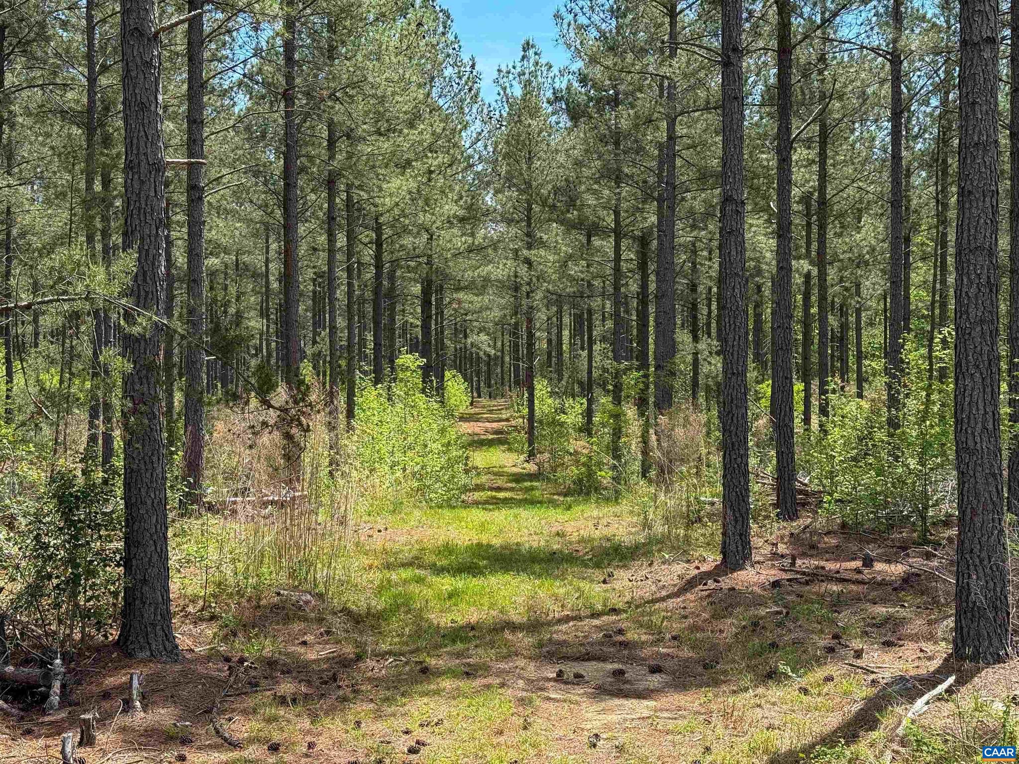 NONE AVAILABLE - Land