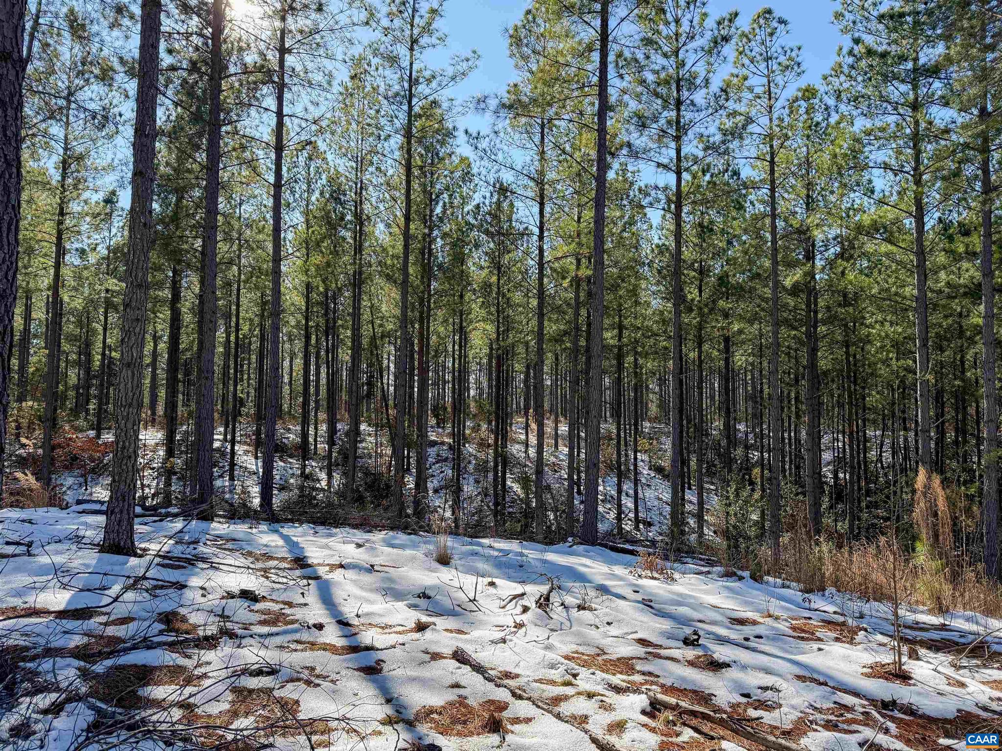 NONE AVAILABLE - Land