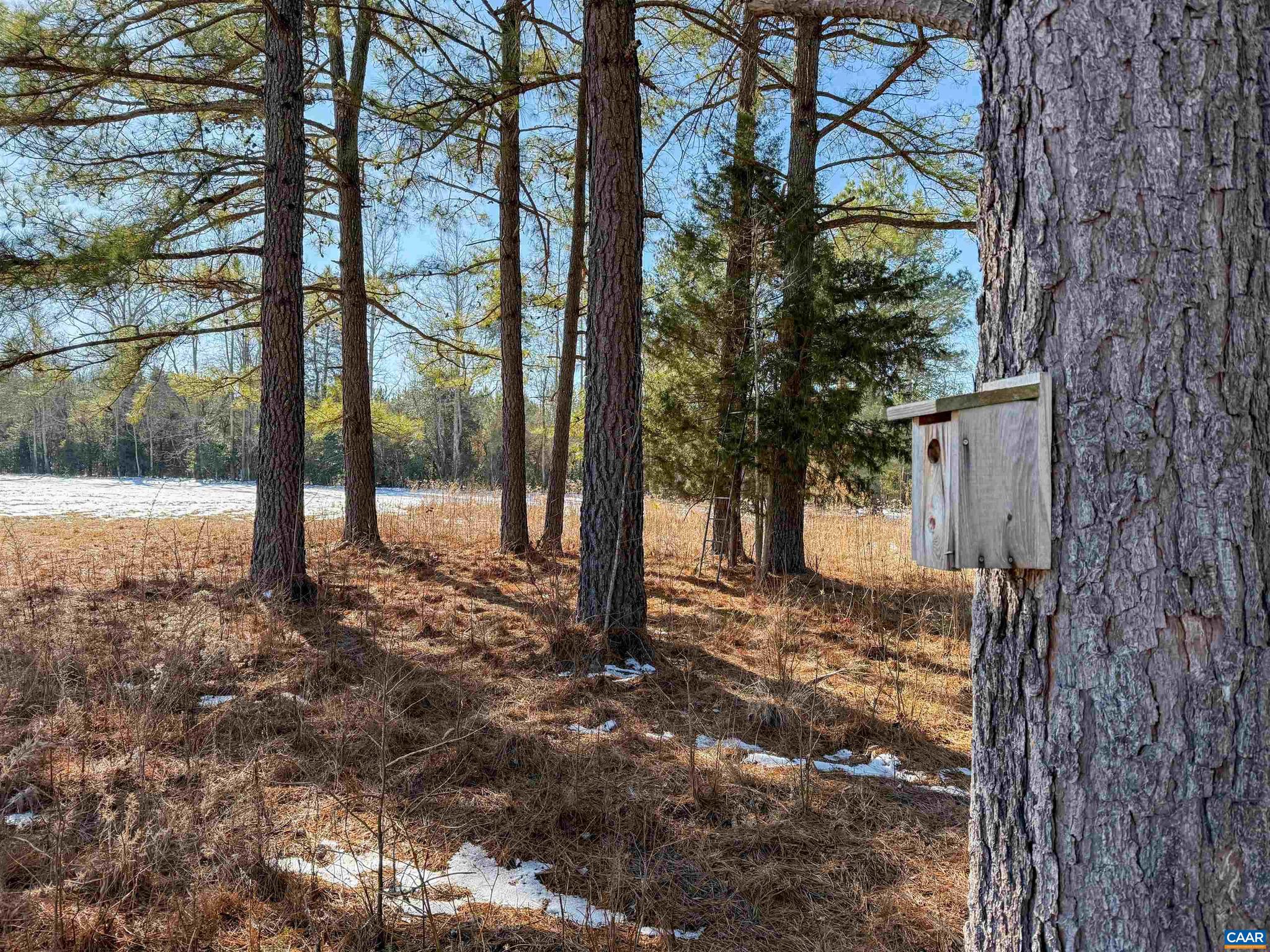 NONE AVAILABLE - Land