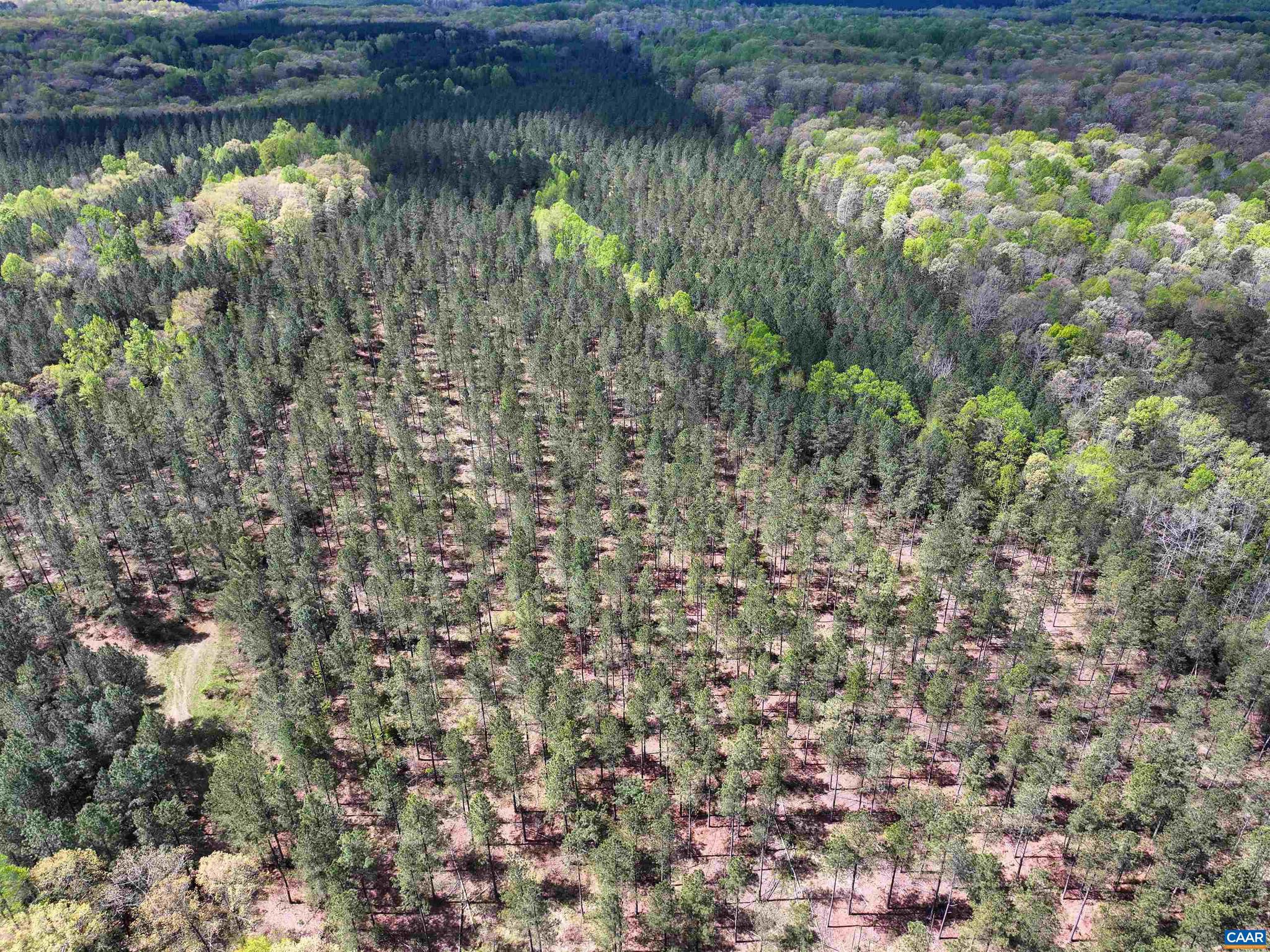 NONE AVAILABLE - Land