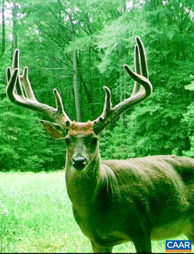 NONE AVAILABLE - Land