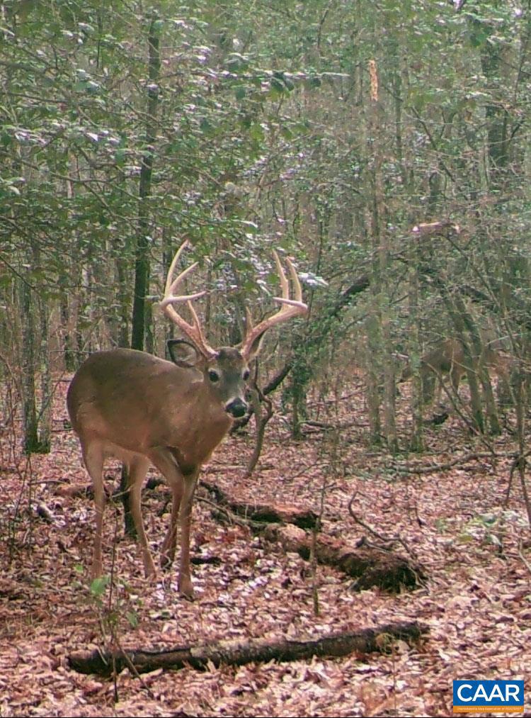 NONE AVAILABLE - Land