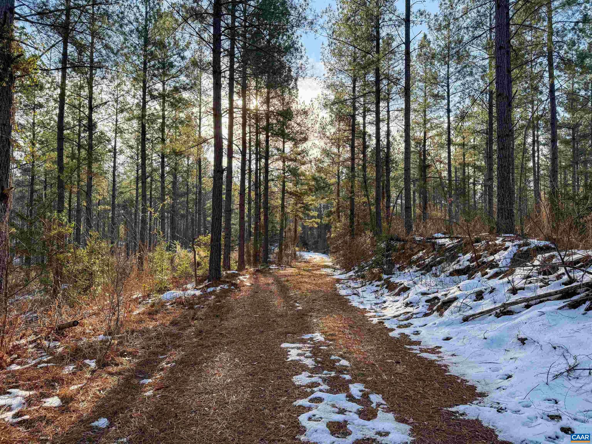 NONE AVAILABLE - Land