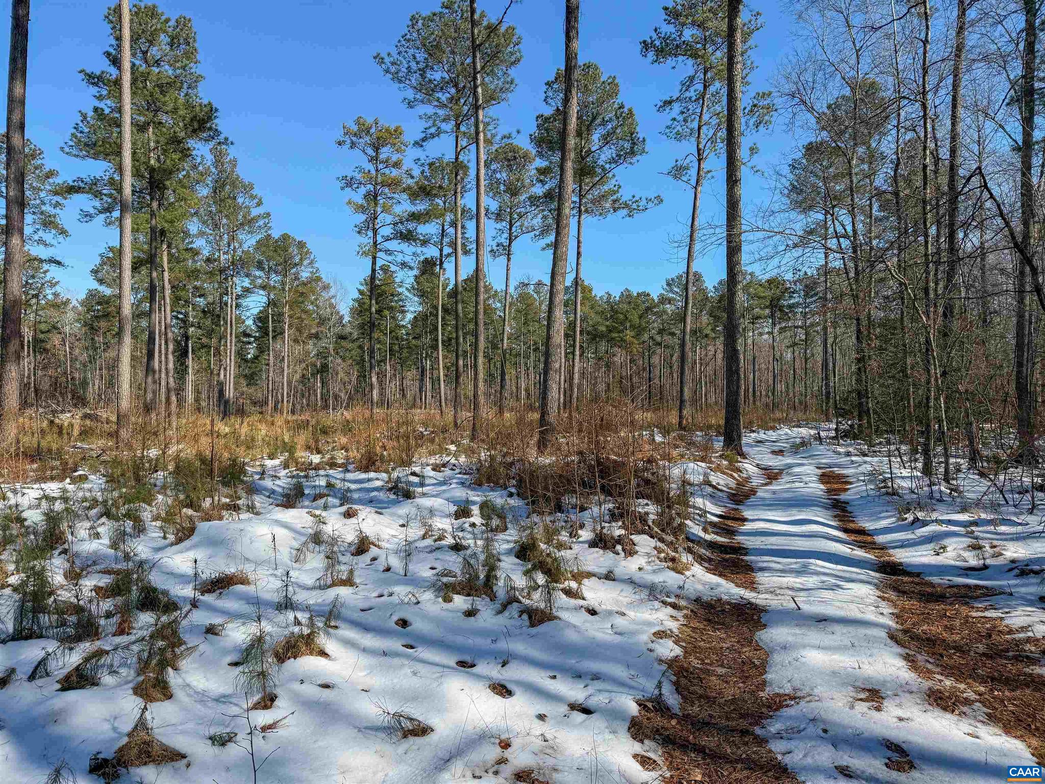 NONE AVAILABLE - Land