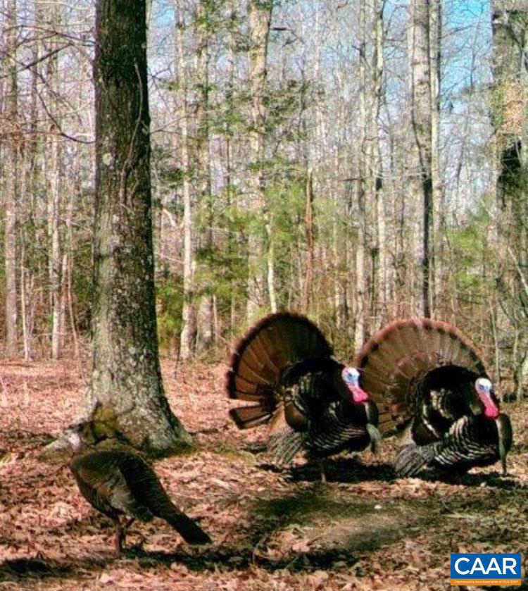 NONE AVAILABLE - Land