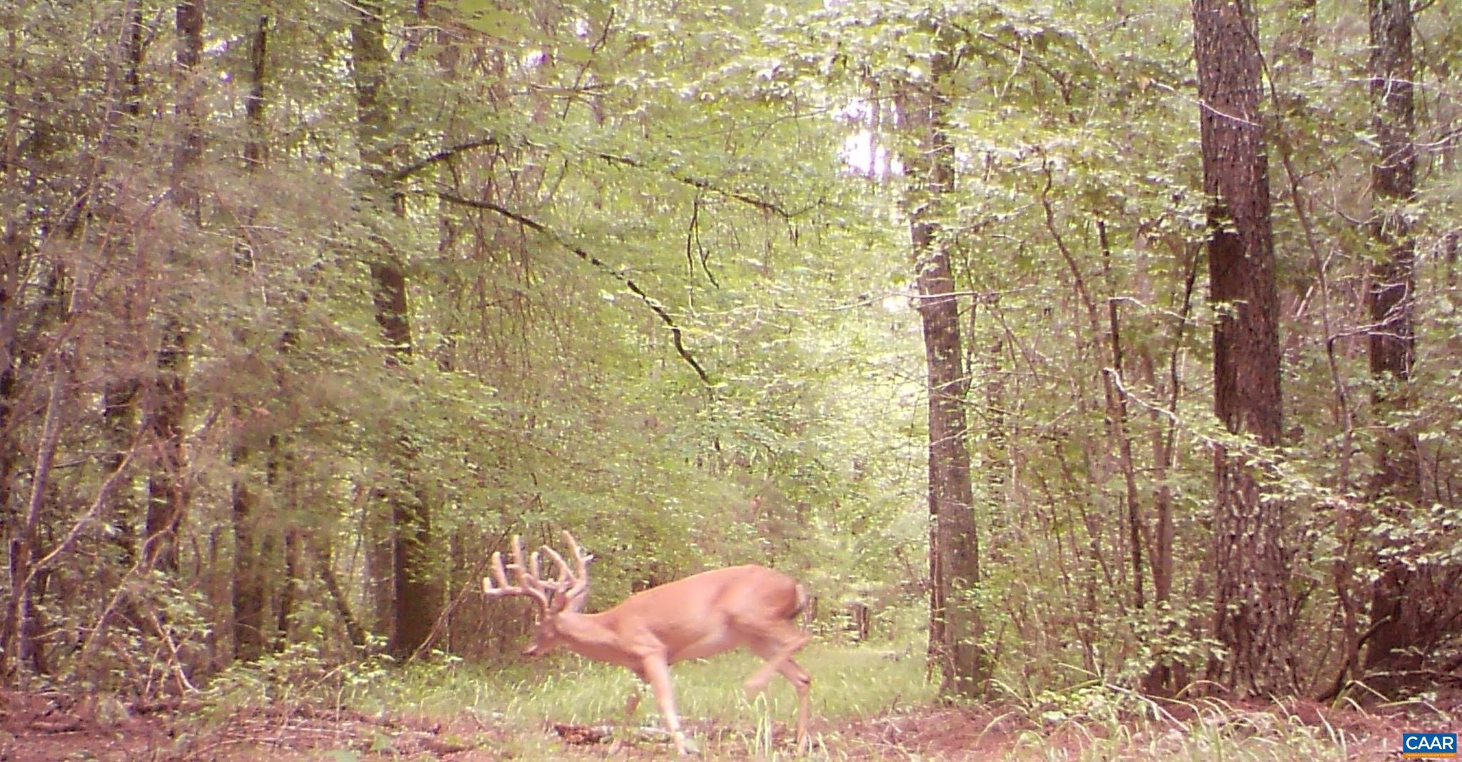 NONE AVAILABLE - Land