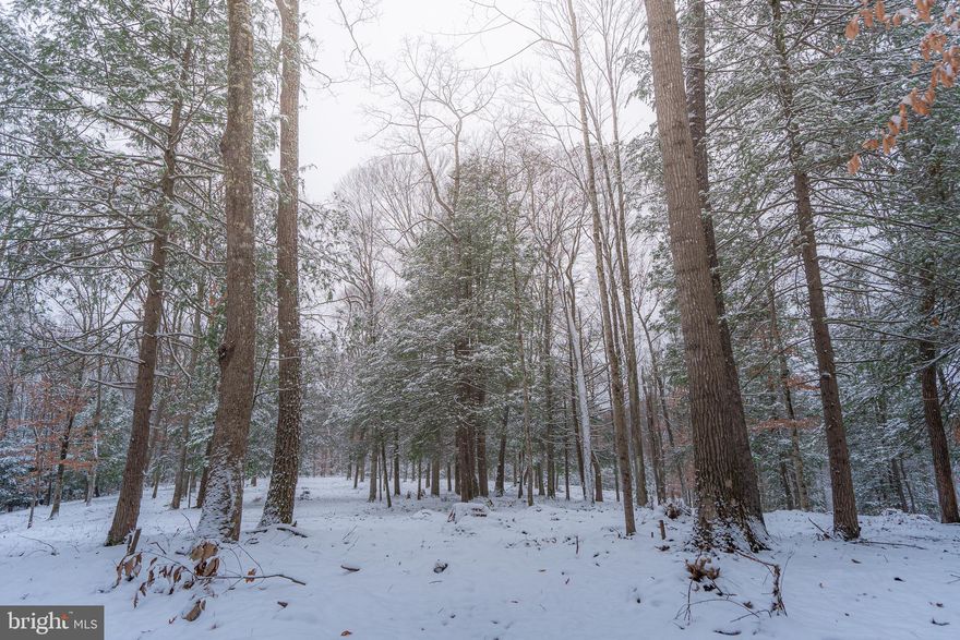 Nestled in the heart of one of West Virginia's most sought-after regions, this 20-acre secluded residential lot is a rare find. Located just minutes from the iconic New River Gorge National Park, the charming town of Fayetteville—hailed as the "Coolest Small Town in America"—and the pristine waters of Summersville Lake, this property is a dream for outdoor enthusiasts and those seeking serenity. The lot features multiple cleared, level building sites, offering you the flexibility to design your ideal home or getaway retreat. A newly constructed internal road system provides easy access throughout the property, while the gated entrance ensures privacy and security. Whether you're drawn to world-class rock climbing, whitewater rafting, hiking, or fishing, this property places you at the doorstep of unparalleled recreational opportunities. Embrace the beauty of the Appalachian Mountains and the vibrant culture of nearby Fayetteville, all while enjoying the peace and tranquility of your own private sanctuary. This is more than just land—it’s an opportunity to build a lifestyle. Don’t miss the chance to own your piece of West Virginia paradise!