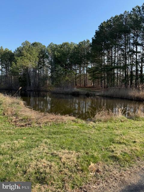 28642 CLUBHOUSE DRIVE