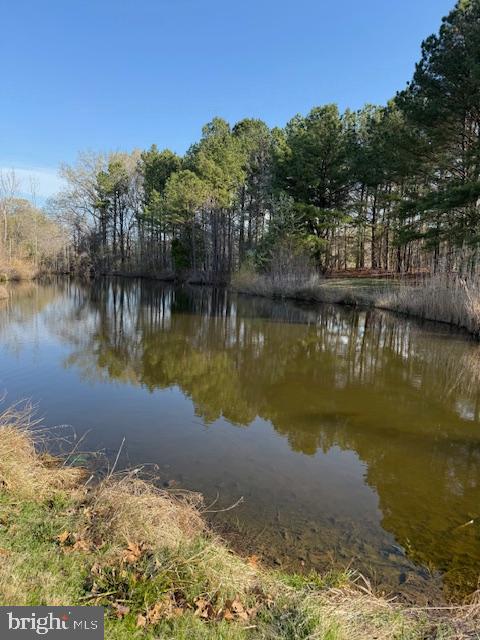 28642 CLUBHOUSE DRIVE