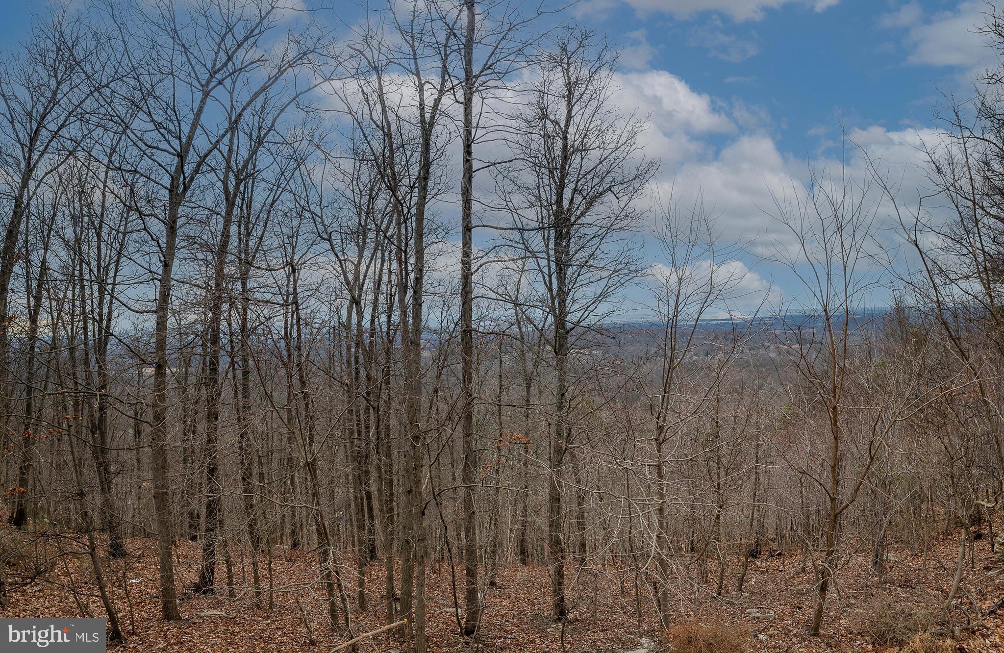 SHANNONDALE - Residential