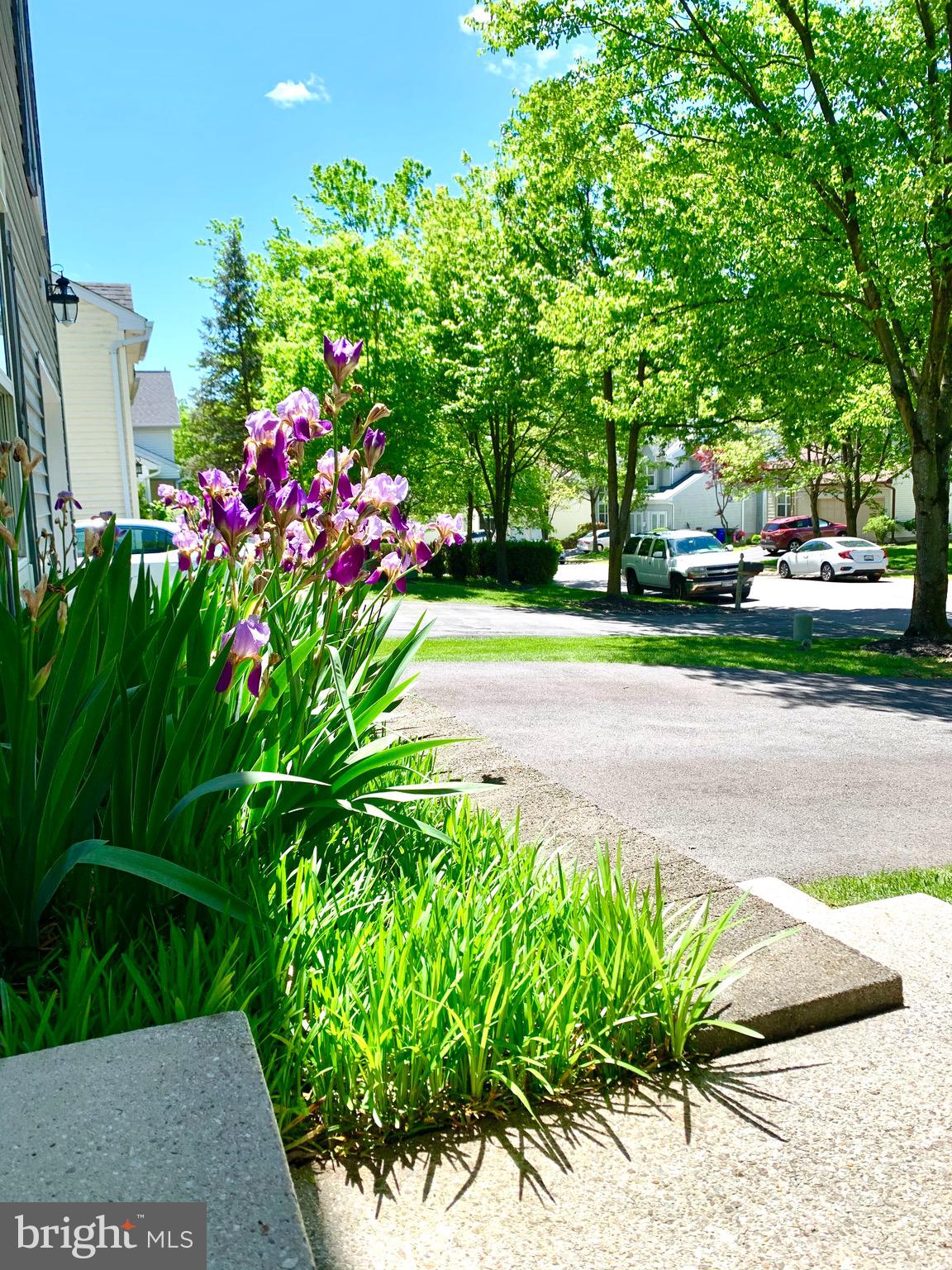 MELBOURNE ESTATES - Residential