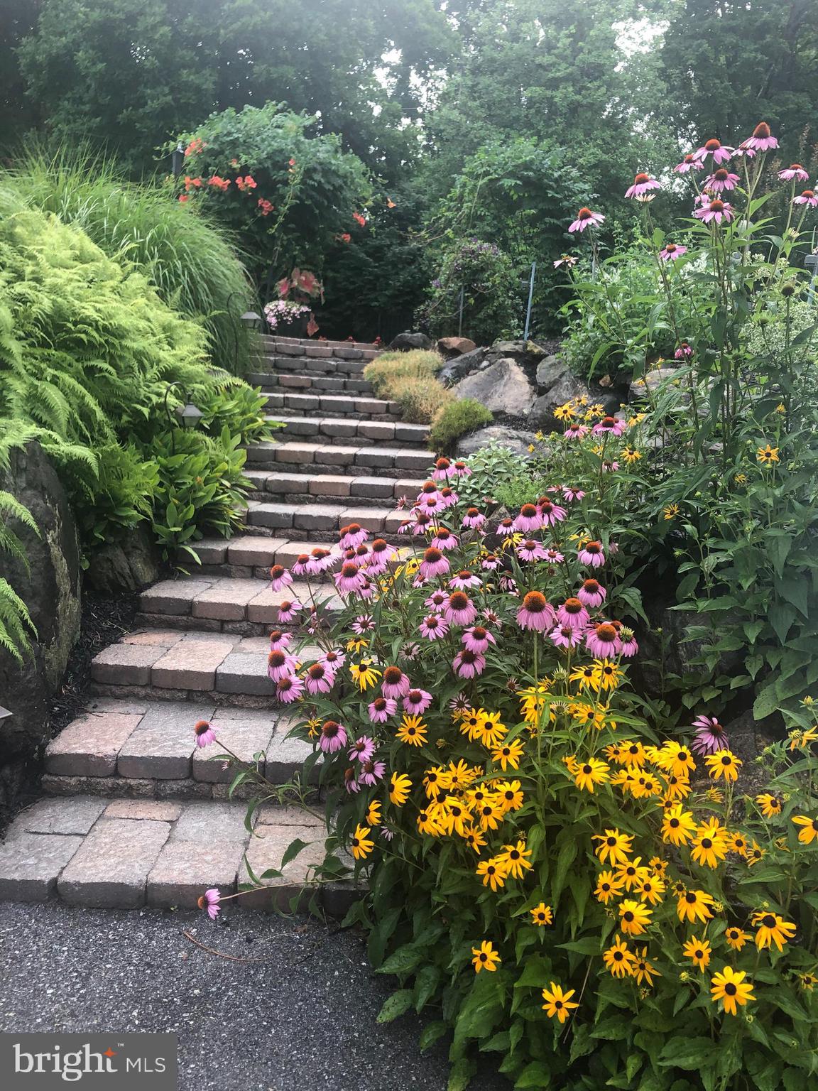 WESTTOWN HILLSIDE - Residential