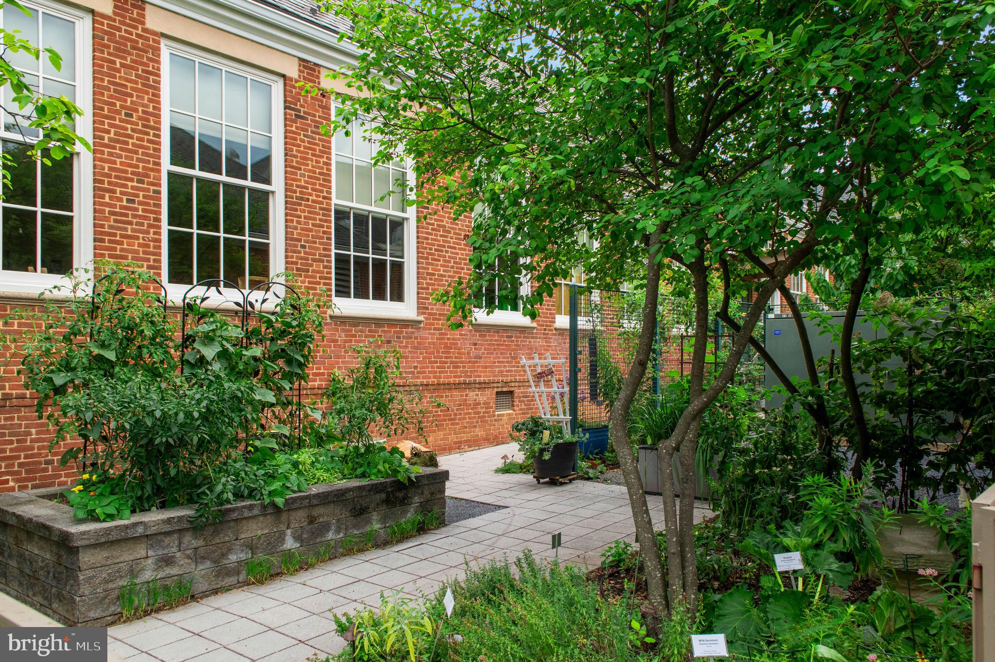 FAIRLINGTON GREEN - Residential Lease