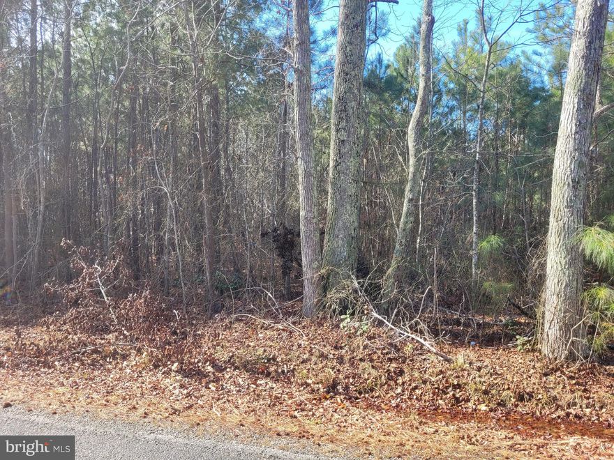 This 5.85+/- acre wooded lot in Northumberland County’s Wicomico District offers a serene setting, an opportunity for your future home. With ample space to enjoy nature and the tranquility of rural living, this property holds great potential for outdoor living and more. Seize the opportunity to own this beautiful lot in a rural area.