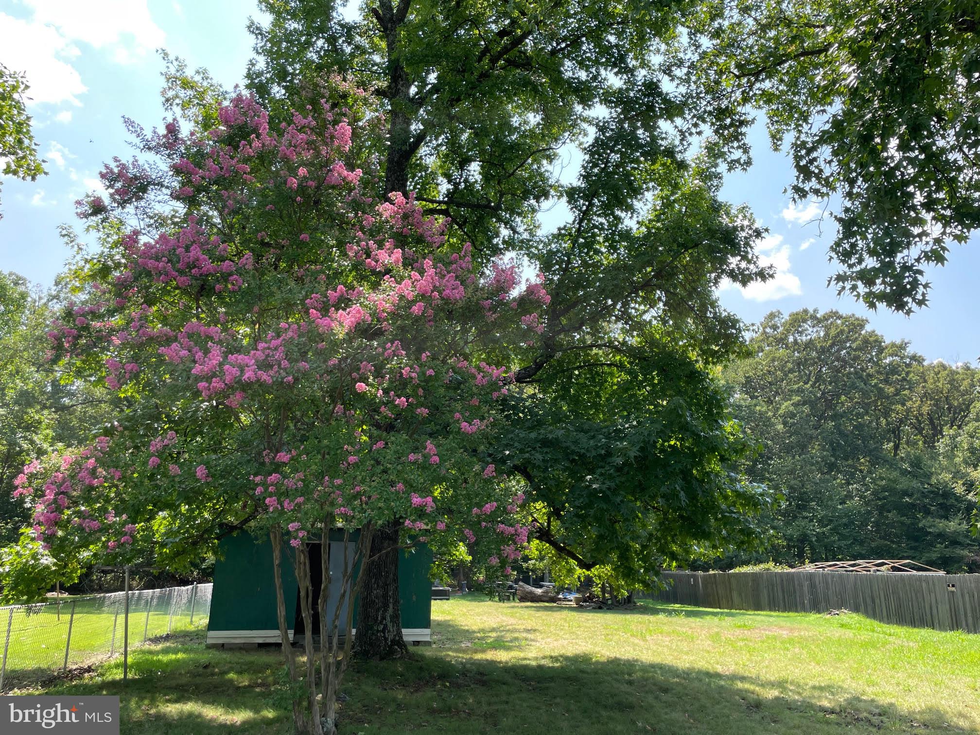 NORTH BARNABY - Residential Lease