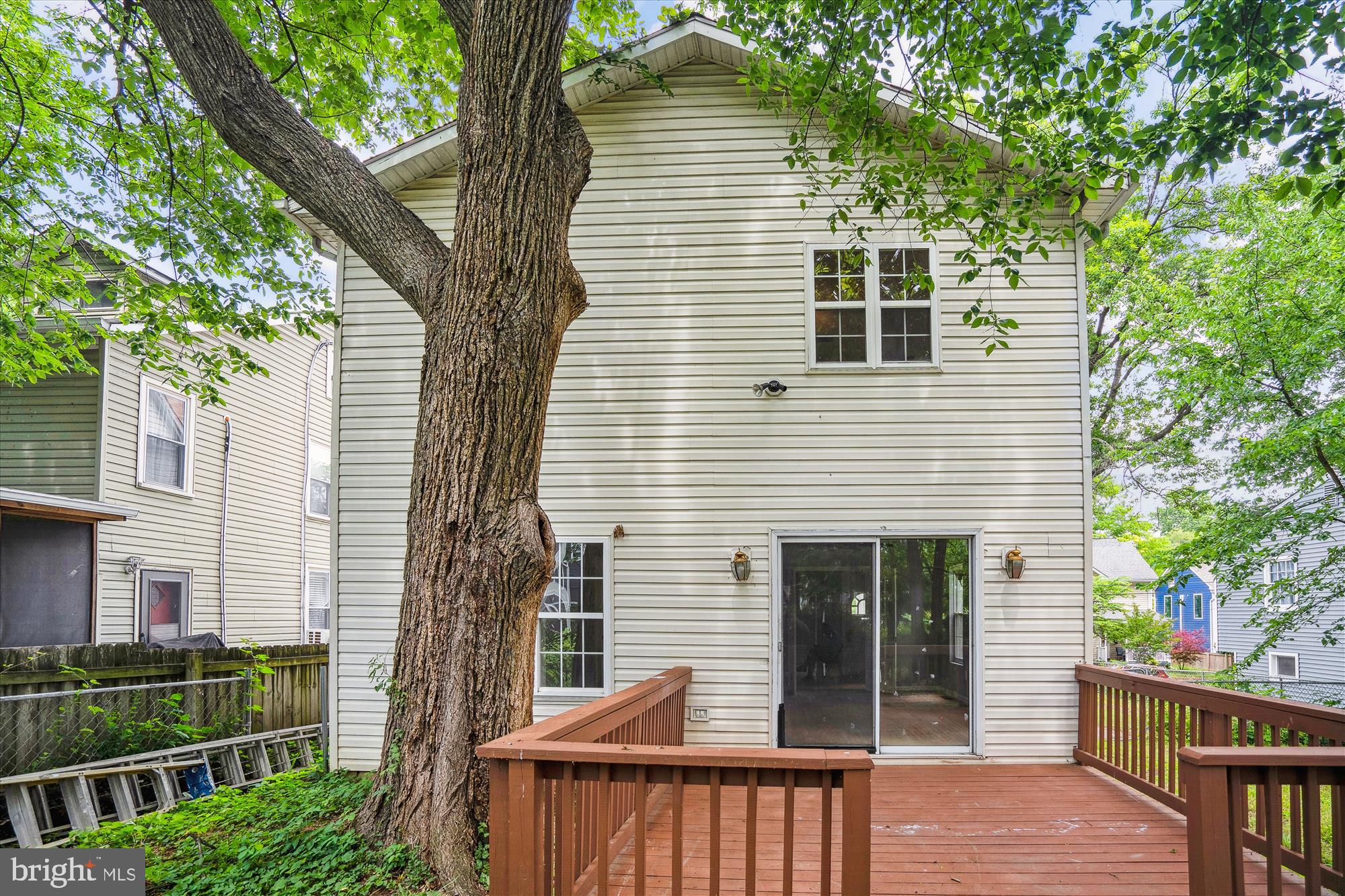 MOUNT RAINIER - Residential