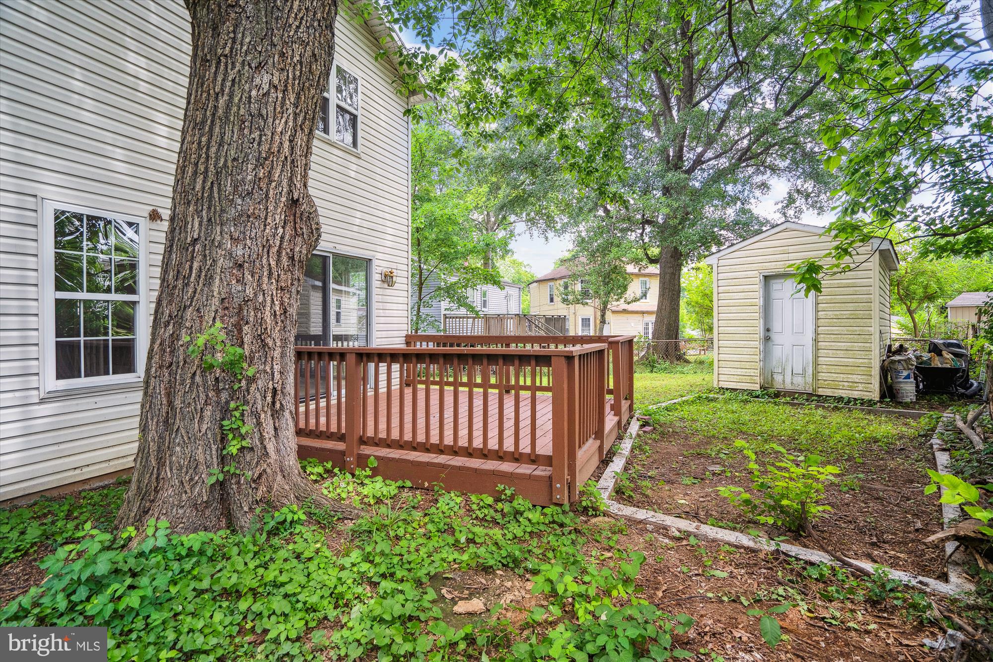 MOUNT RAINIER - Residential