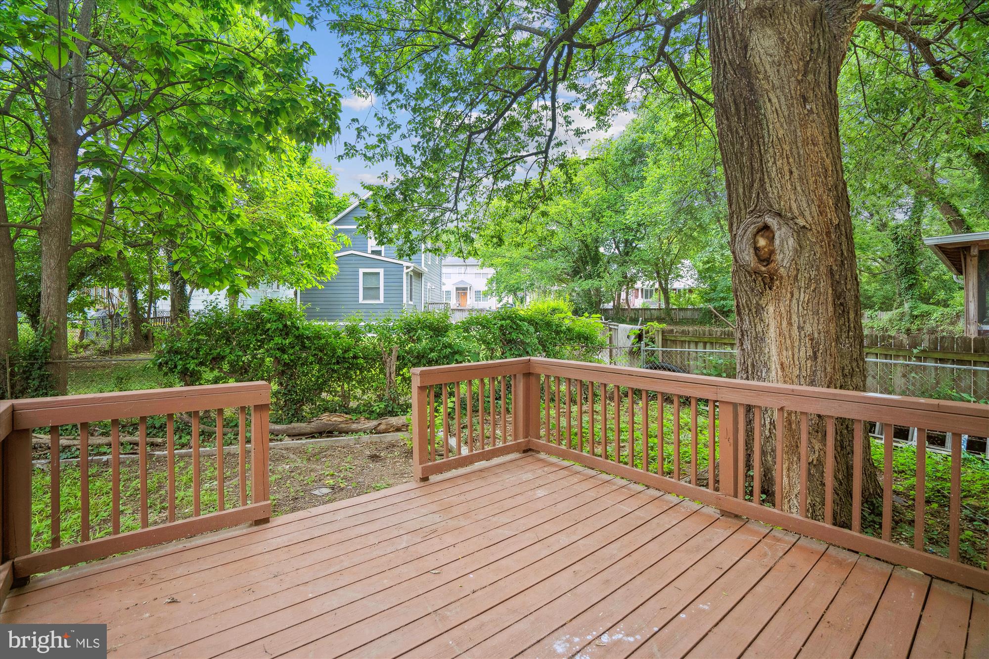MOUNT RAINIER - Residential
