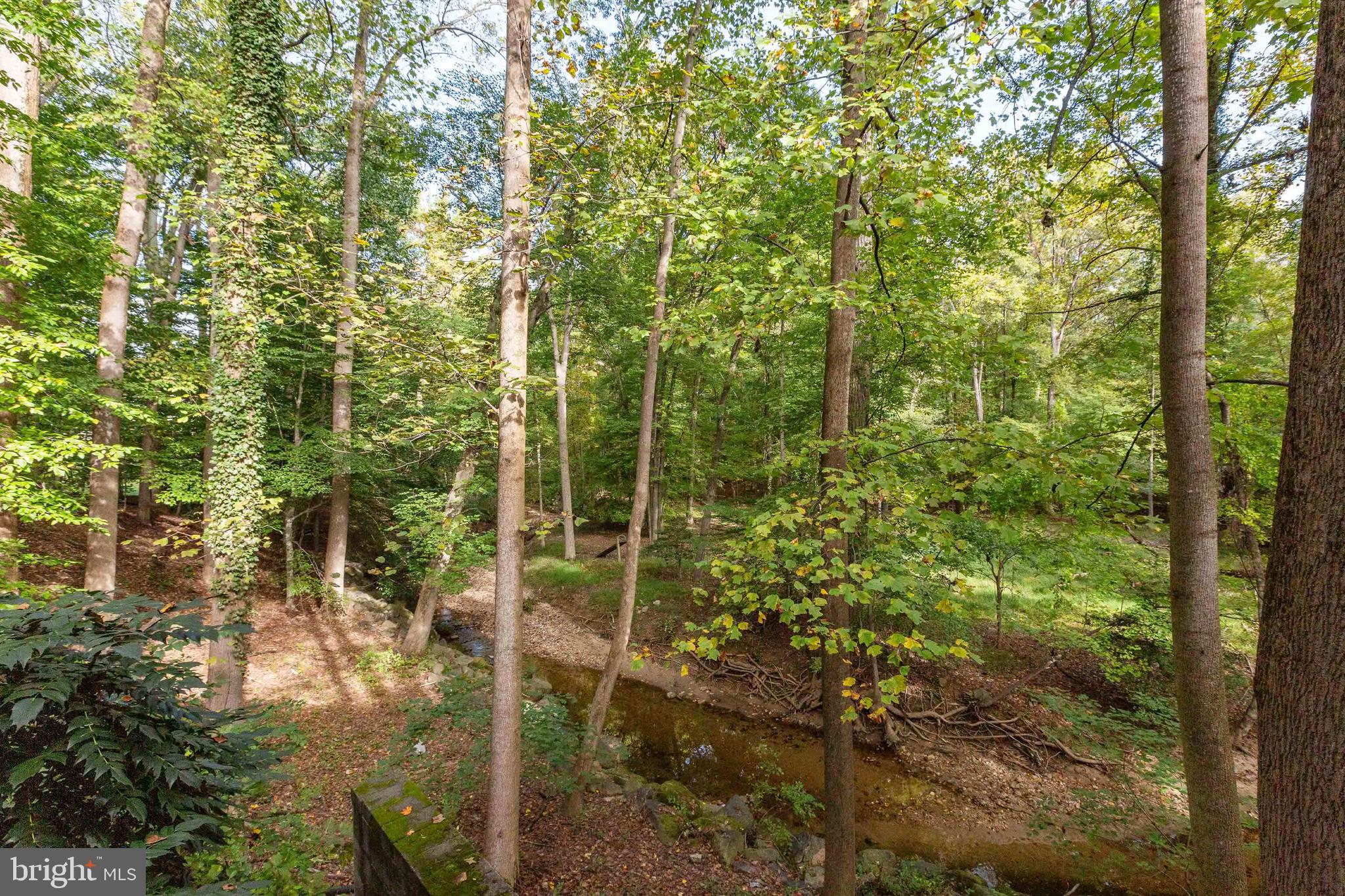 VILLAGE BROOK - Residential