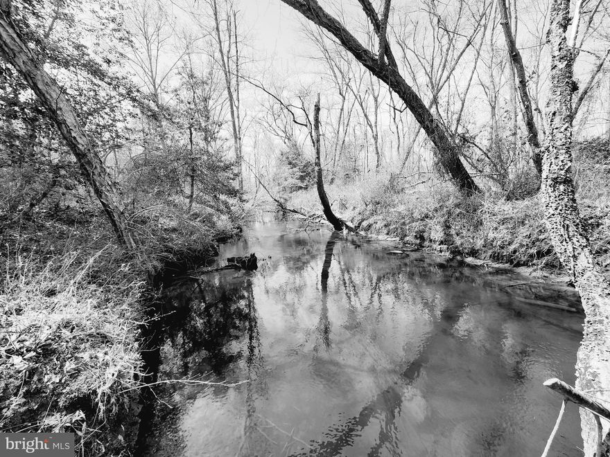 Welcome to the 49+/- acres for sale on Vessels Rd! This property sits on the King and Queen/Caroline line in a rural setting, but is only a hop, skip, and a jump to shopping in Bowling Green. This property features 3 separate 16+ acre parcels that could make for a great FAMILY COMPOUND! This property sits on Beverly Run which offers opportunities for fishing, kayaking, and any other recreational activities you wish to do. The property also offers alot of road frontage on Vessels Rd. and some on Newtown Rd. There are some interior roads on the parcel as well which make it easier to navigate. The property is all wooded and features mixed timber consisting of some pines and some hardwoods. There are a couple of different options for homesite placement, and we do have previous soil work that indicates conventional perk sites. This parcel would make a great single family homestead, recreational tract, or a weekend getaway! Come see all that this parcel has to offer today! Other lots available as well!