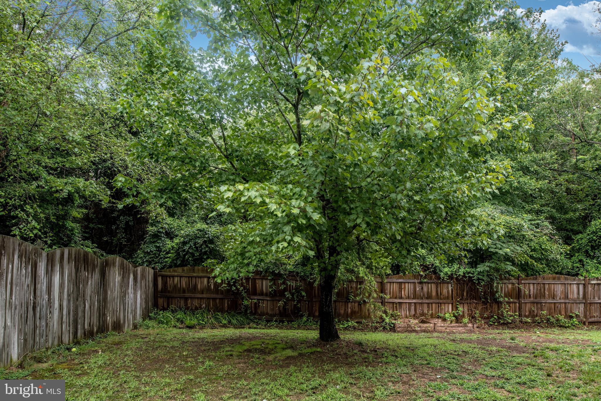 CARDINAL RIDGE - Residential