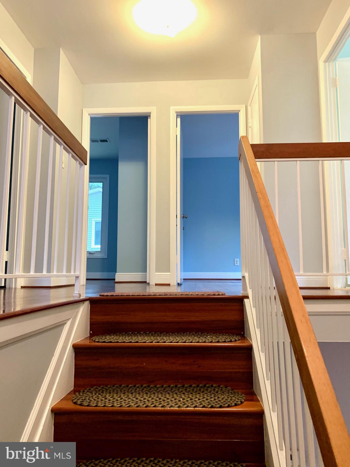 CARTER HILL - Residential